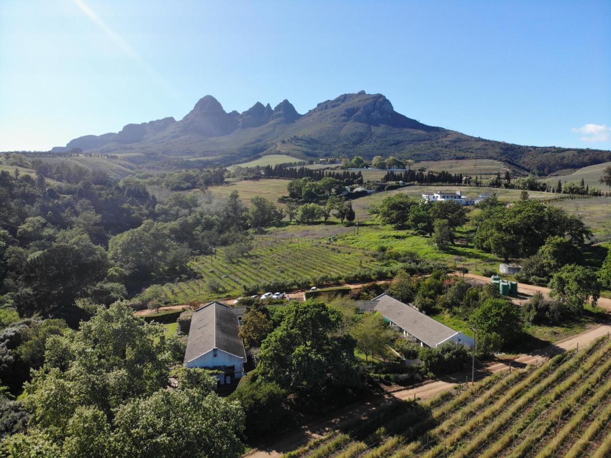 Navarre Farm * Stellenbosch