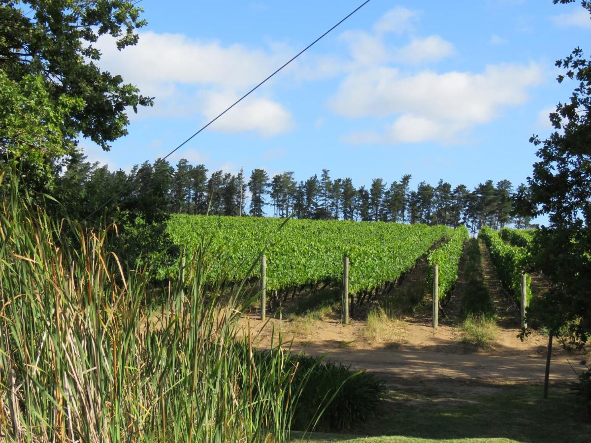 Navarre Farm * Stellenbosch